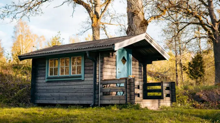 Rustikale Holzhütte mit blauer Tür in einem sonnigen Wald